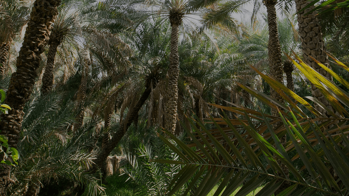 Explore Learn Background